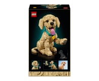 LEGO ICONS 11384 Szczeniak golden retriever - 1488997 - zdjęcie 10